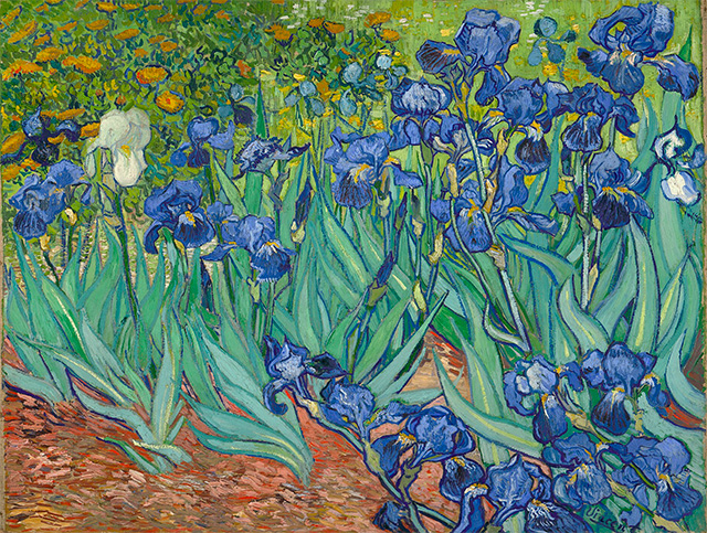 Irises, May 1889, J. Paul Getty Museum, Los Angeles