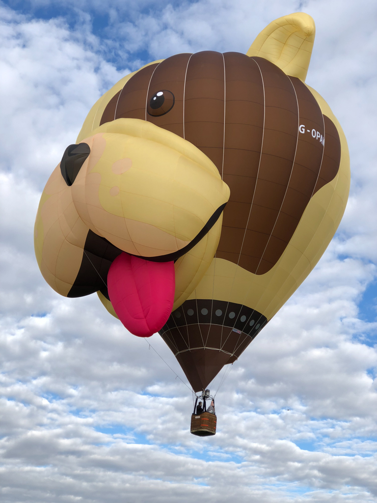 a hot air balloon shaped like a dog