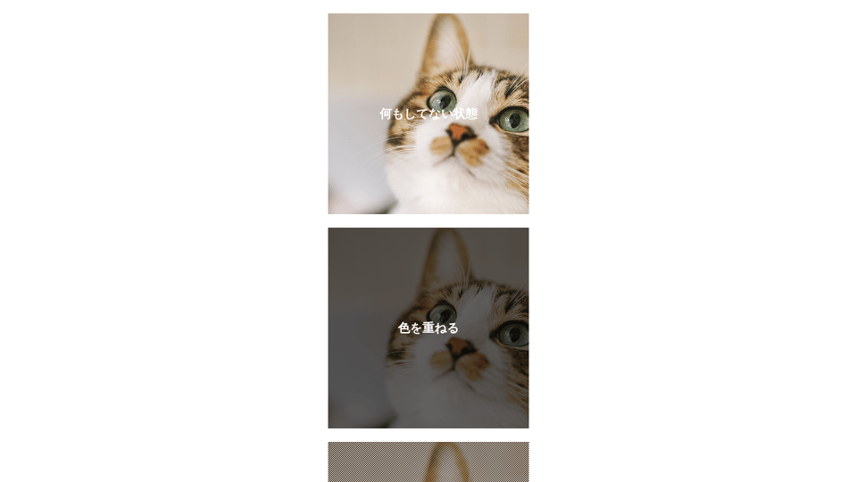 Miso On Codepen Miso On Codepen