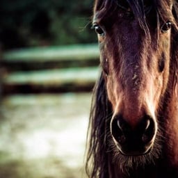 Svgアニメーション はじめの一歩 Knowledge Base