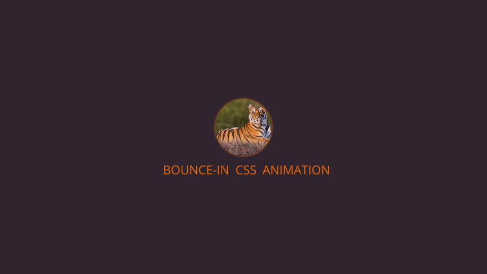 CodePen Bounce in css animation CodePen Bounce in css animation