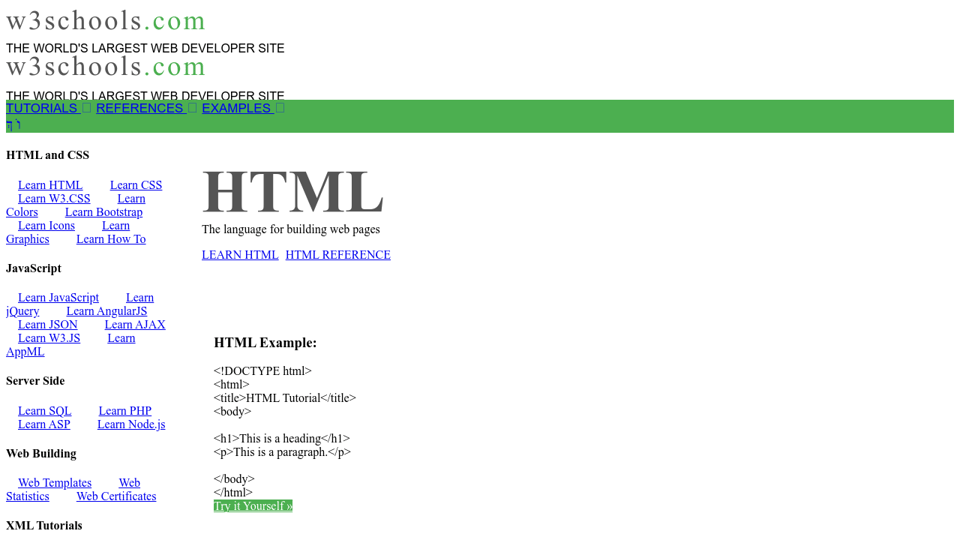 Download Fake W3schools