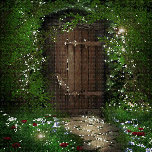 Sparkle Door