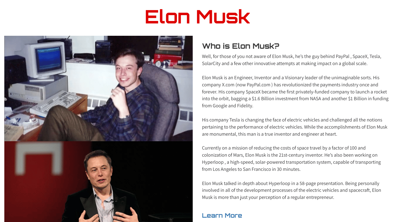 Elon Musk Tribute Page