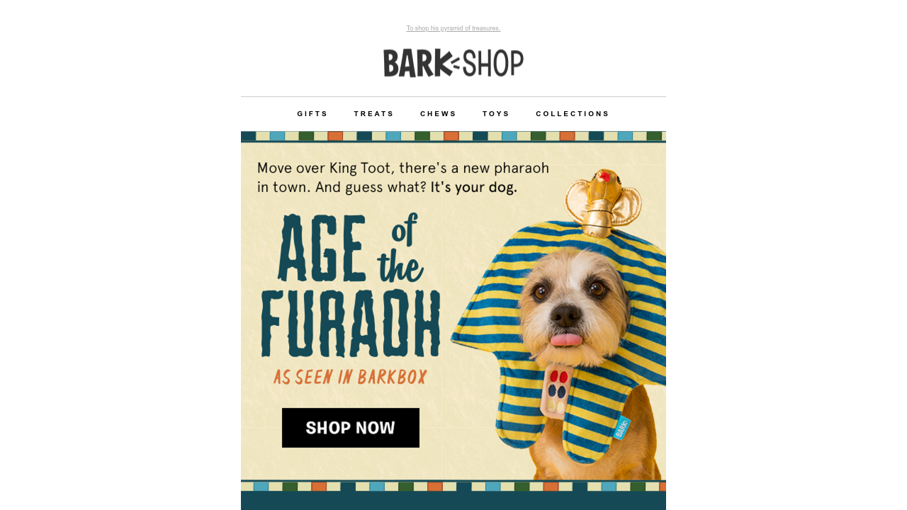 shop barkbox