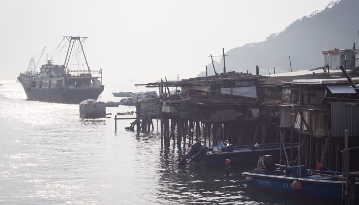 A variety of fishing trawlers mored up to wooden platforms,