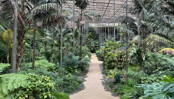 A lush and varied vegitation found within a roofed botanical garden. There is a stone path in the middle that leads of to different parts of the building.