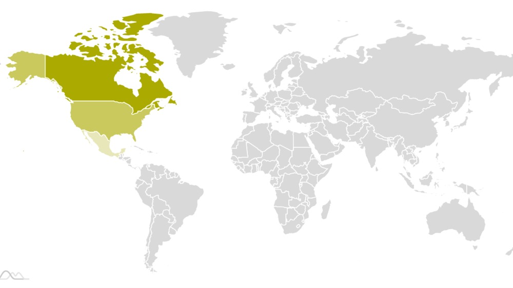 amCharts 4: Pre-processing map data