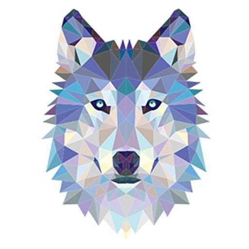 Senka Wolf On CodePen