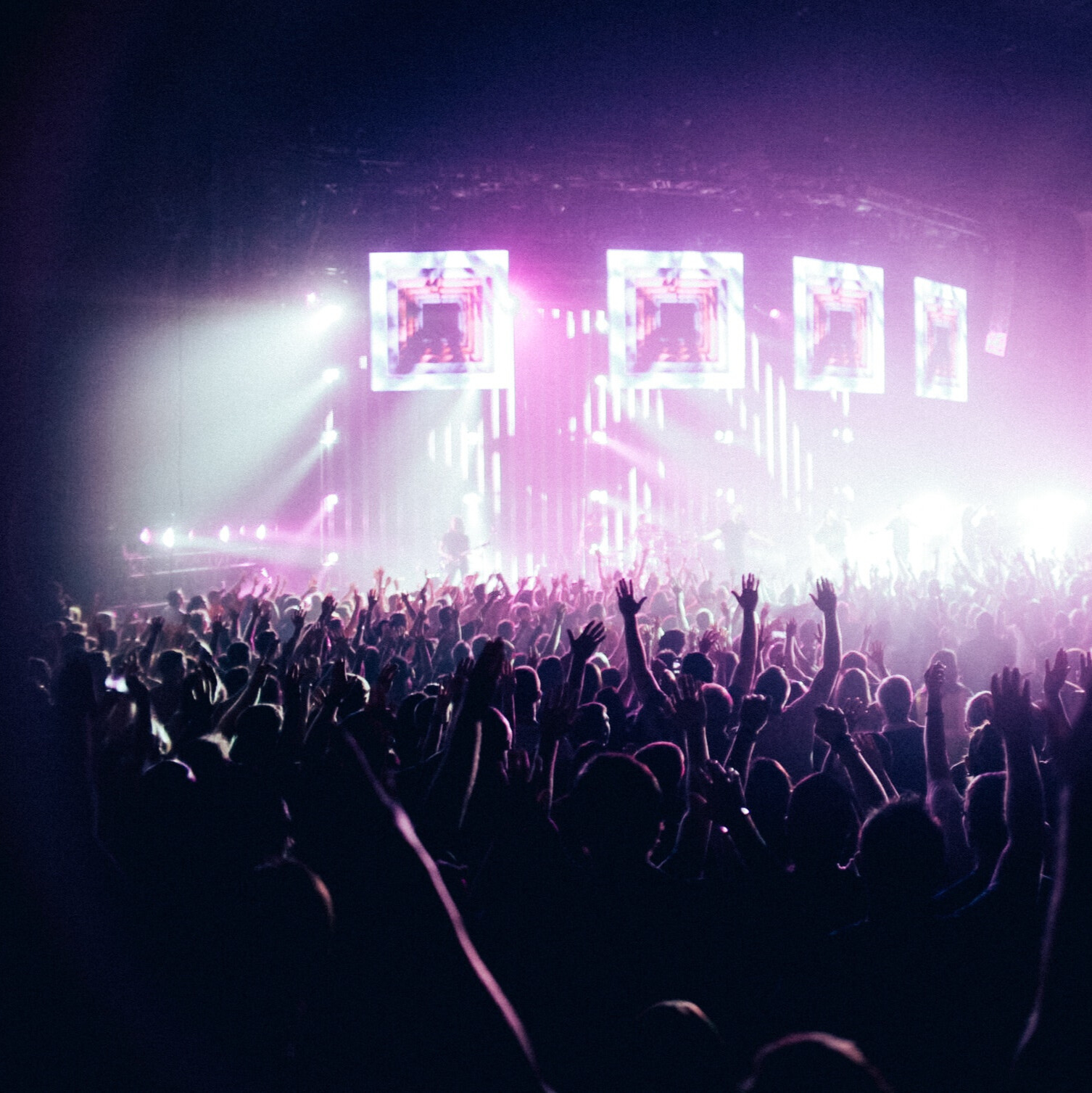 Purple stage and excited crowd.