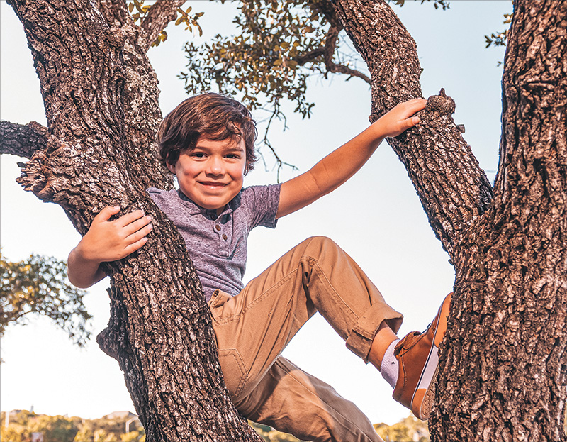 boy climbing tree