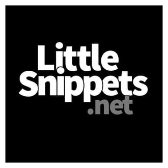 Webmaster LittleSnippets.net Developer
