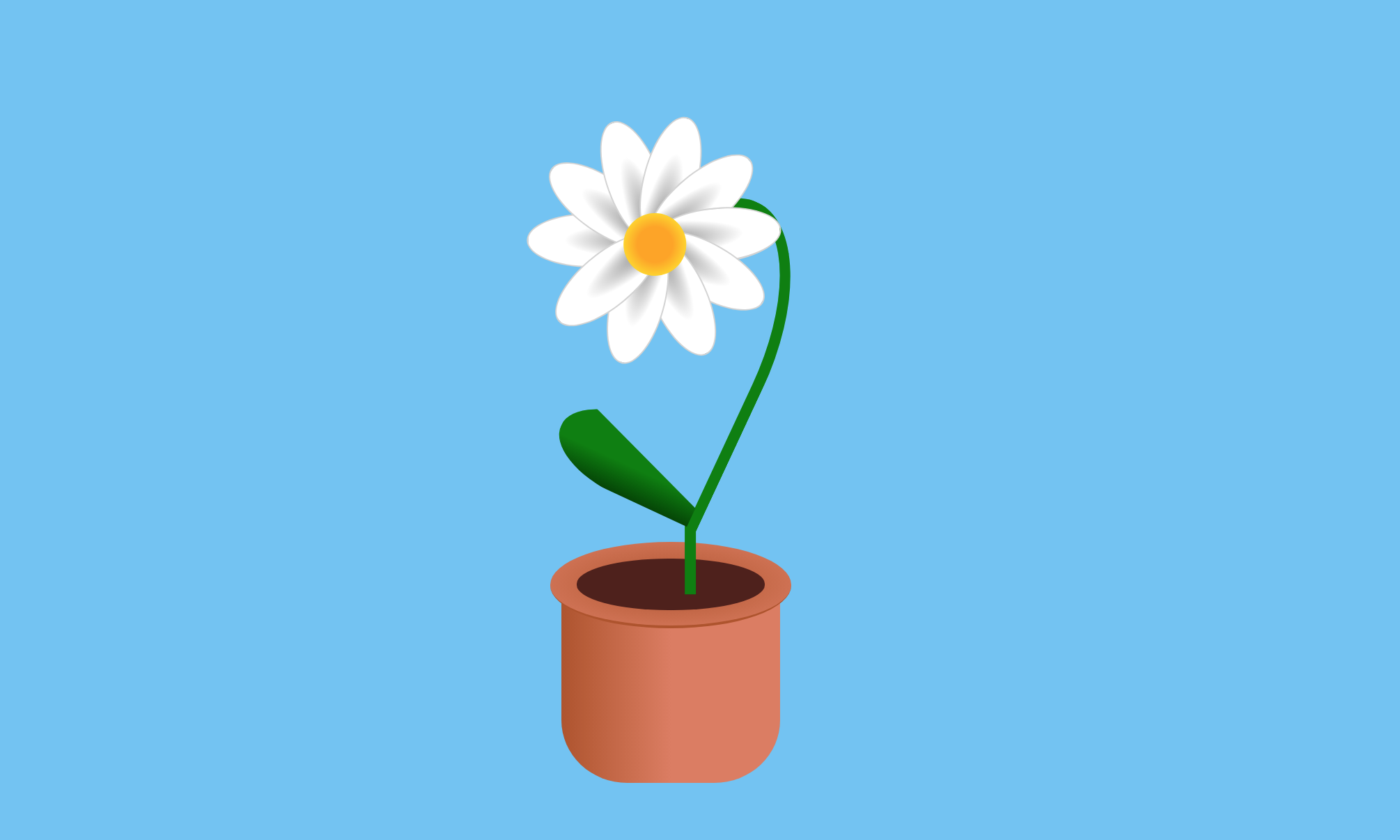 CSS Flower