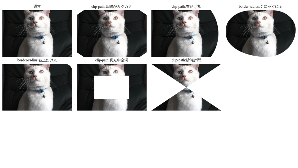 Saki Matsushita On Codepen Saki Matsushita On Codepen