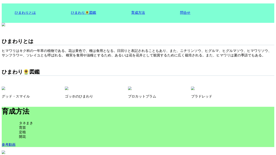 侍 課題1 侍 課題1