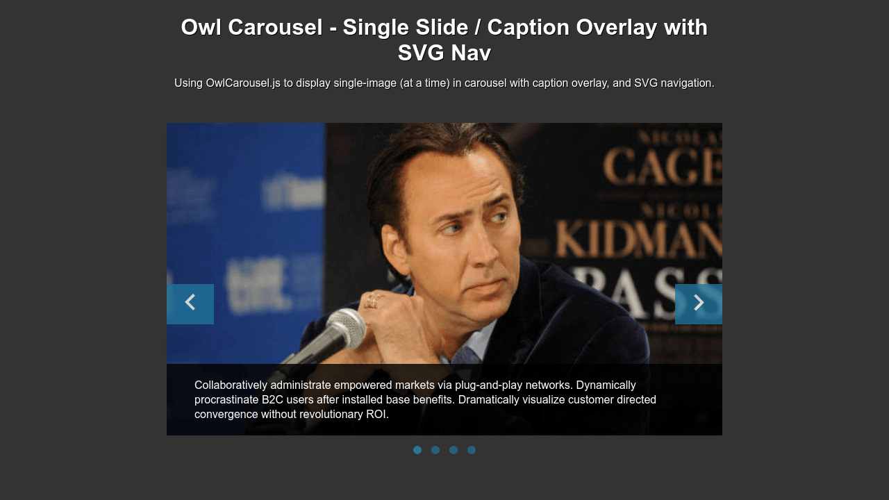Owl Carousel Slider With Caption Animation Codepen لم يسبق له مثيل
