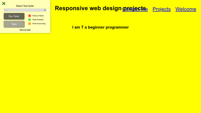 Portfolio Navbar Example Personal portfolio navbar issue - Curriculum Help - The freeCodeCamp Forum