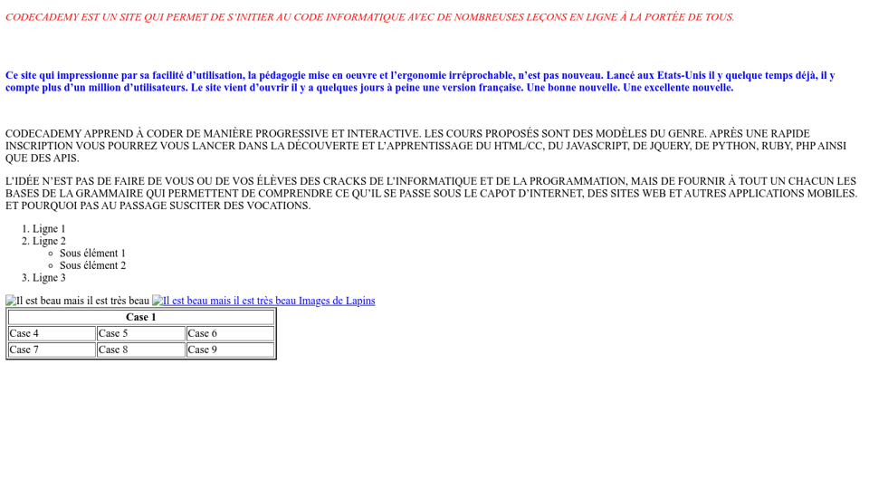 A Pen By Camelia Iltache