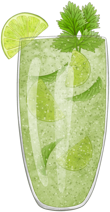 Mojito Illustration