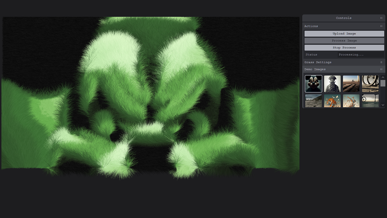 Grass Image Processing