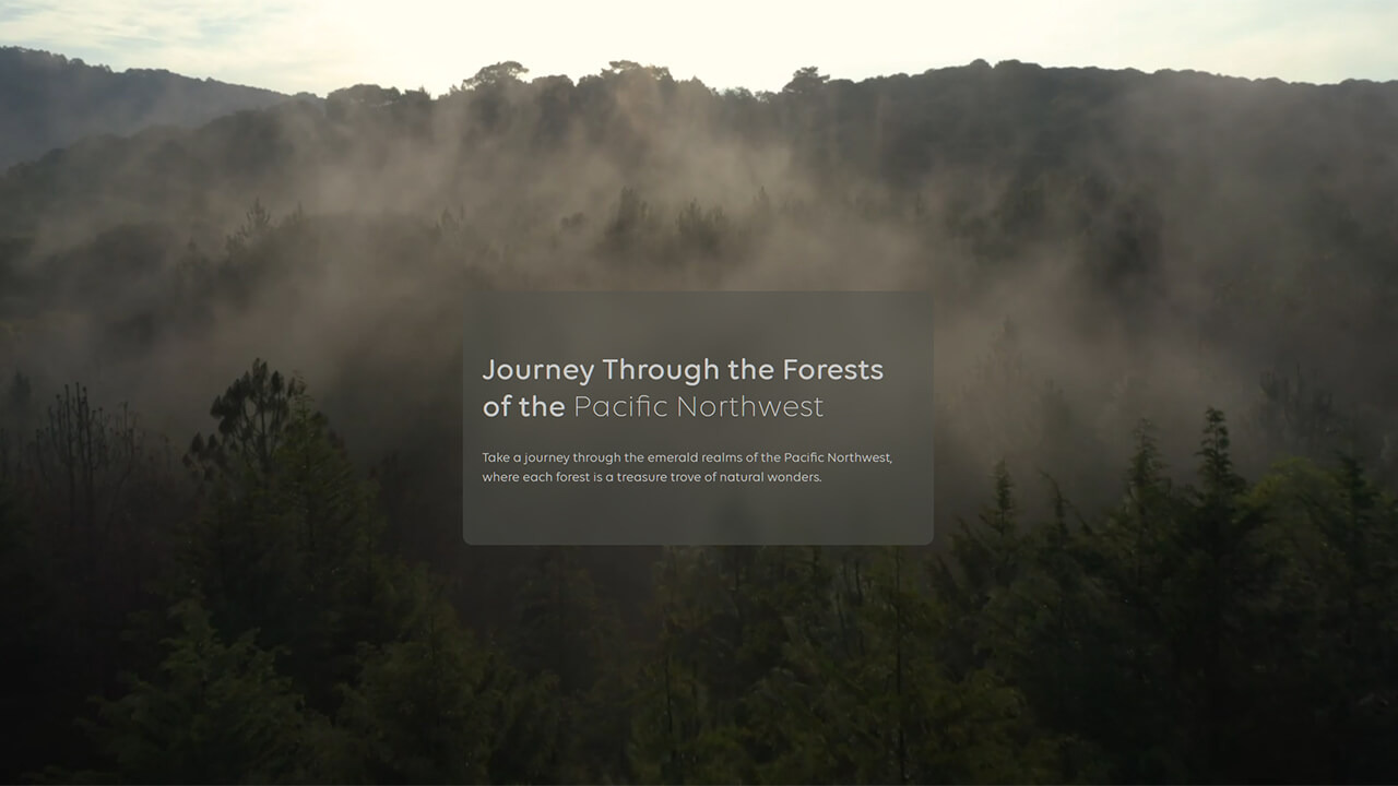 [Update 08/09/23] Video Scrolling with GSAP + Scrub