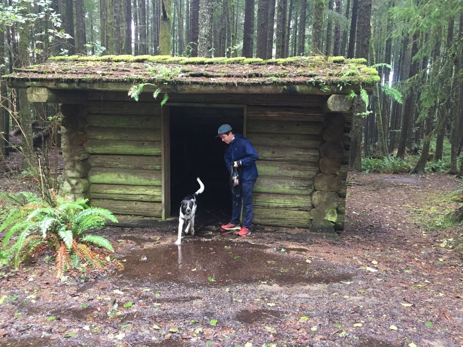 A man and his dog in front of a mossy log cabin in the woods. The dog's about to step into a puddle.