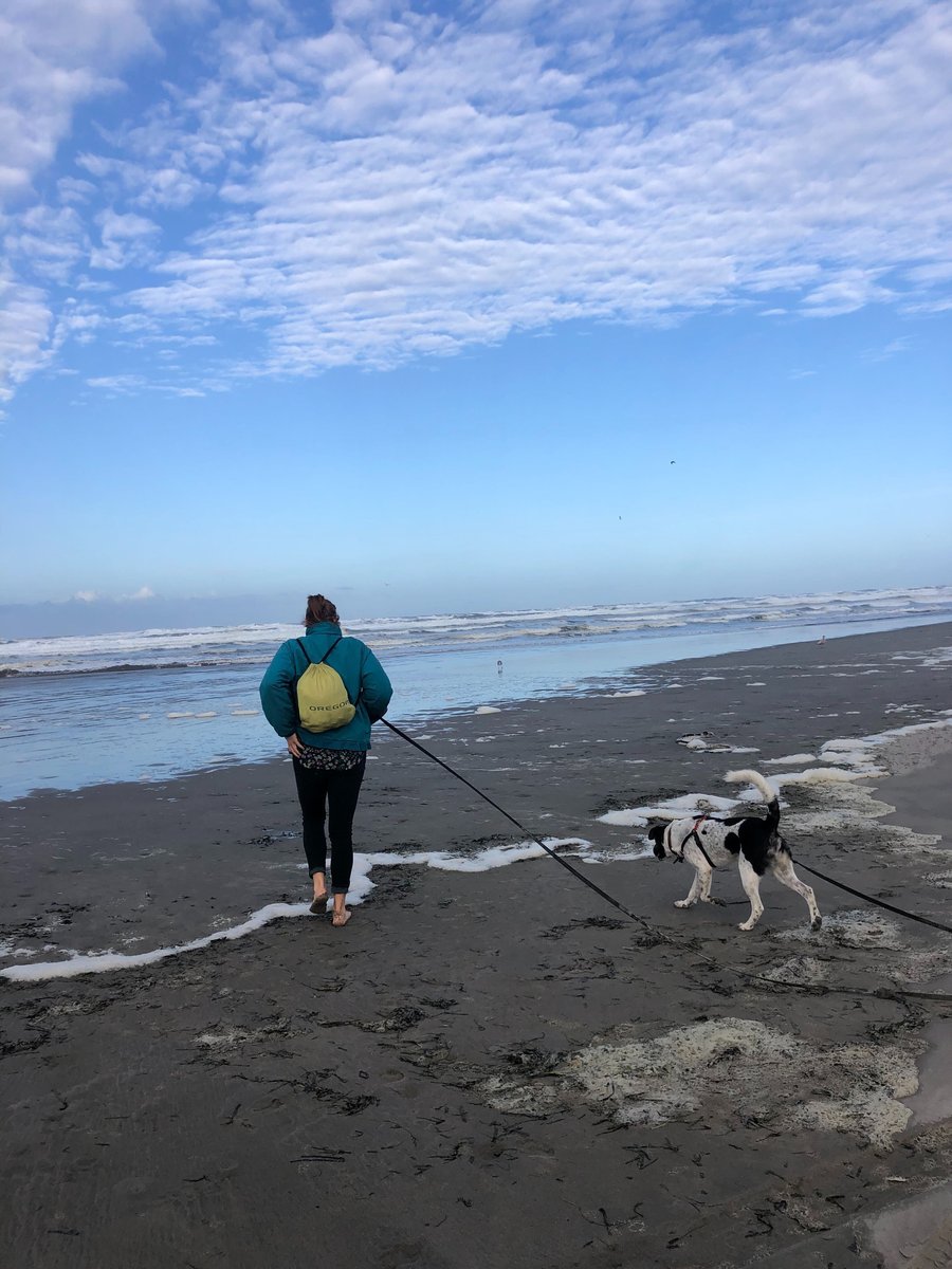 A woman walking her dog along the beach