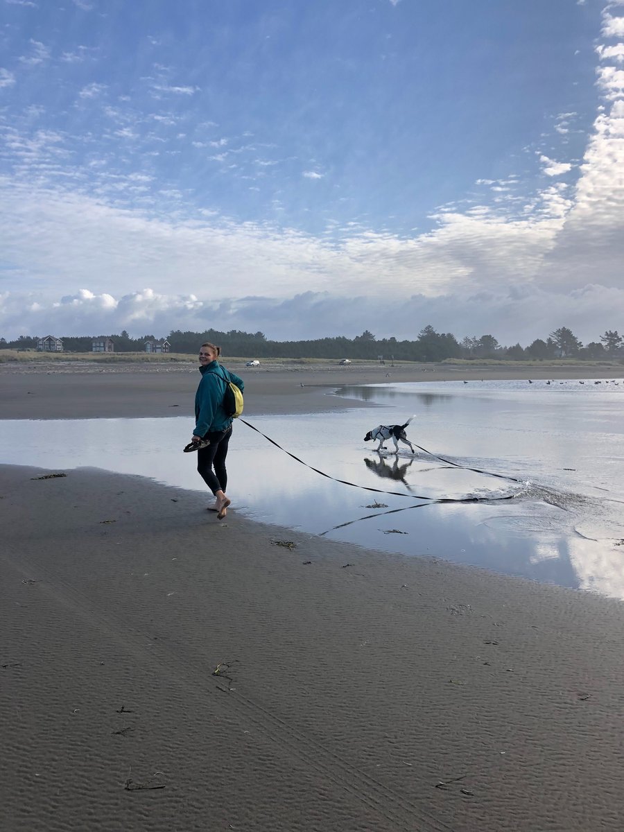 A woman and dog walking along the beach. The dog is running through shallow water and his leash is trailing behind.