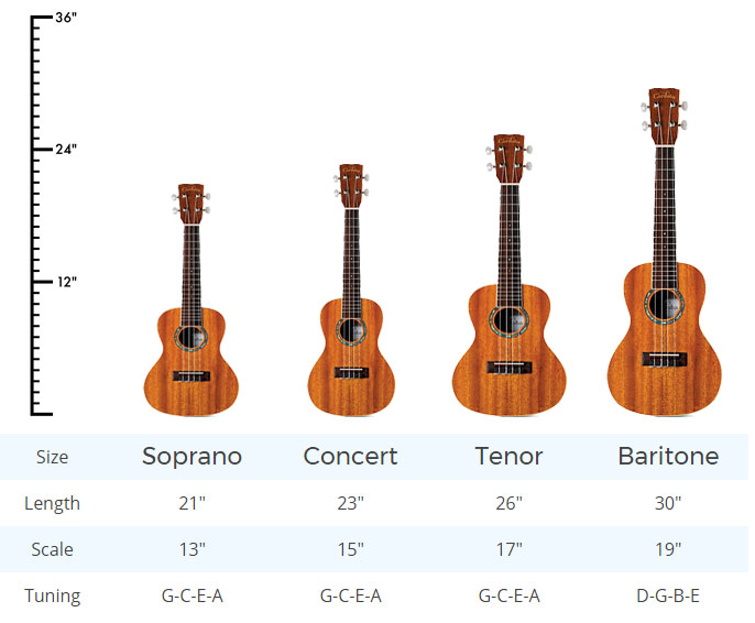 Размер гитары см. Мензура укулеле тенор. Укулеле сопрано размер. Сопрано баритон тенор укулеле. Мензура укулеле сопрано.