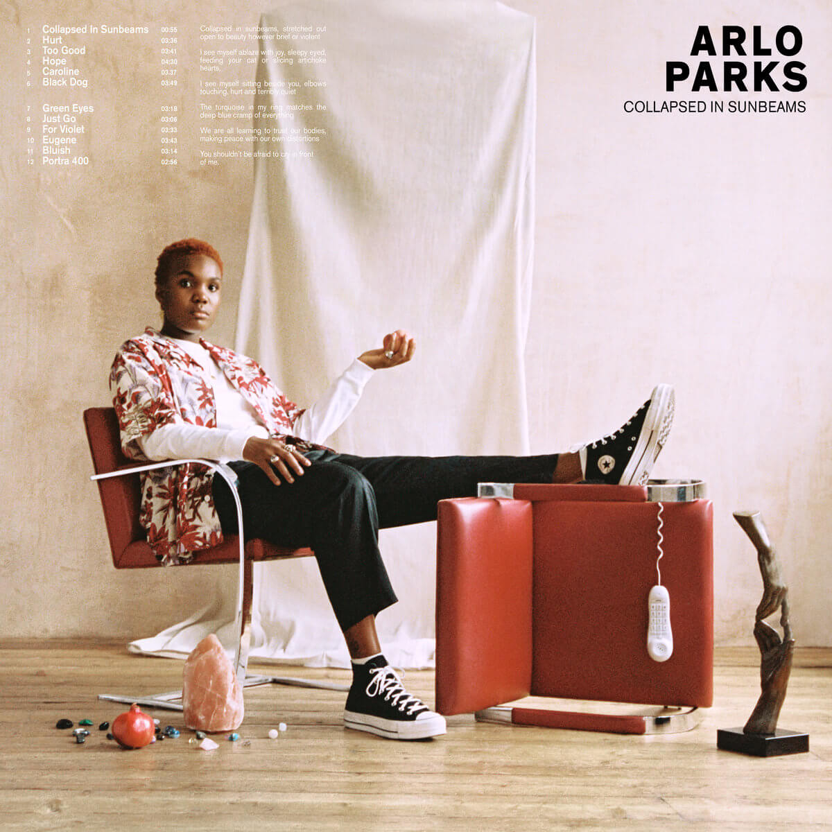 Arlo Parks album cover