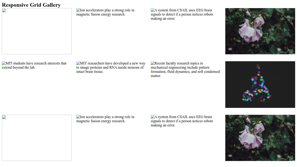 Responsive Image Gallery with CSS Grid