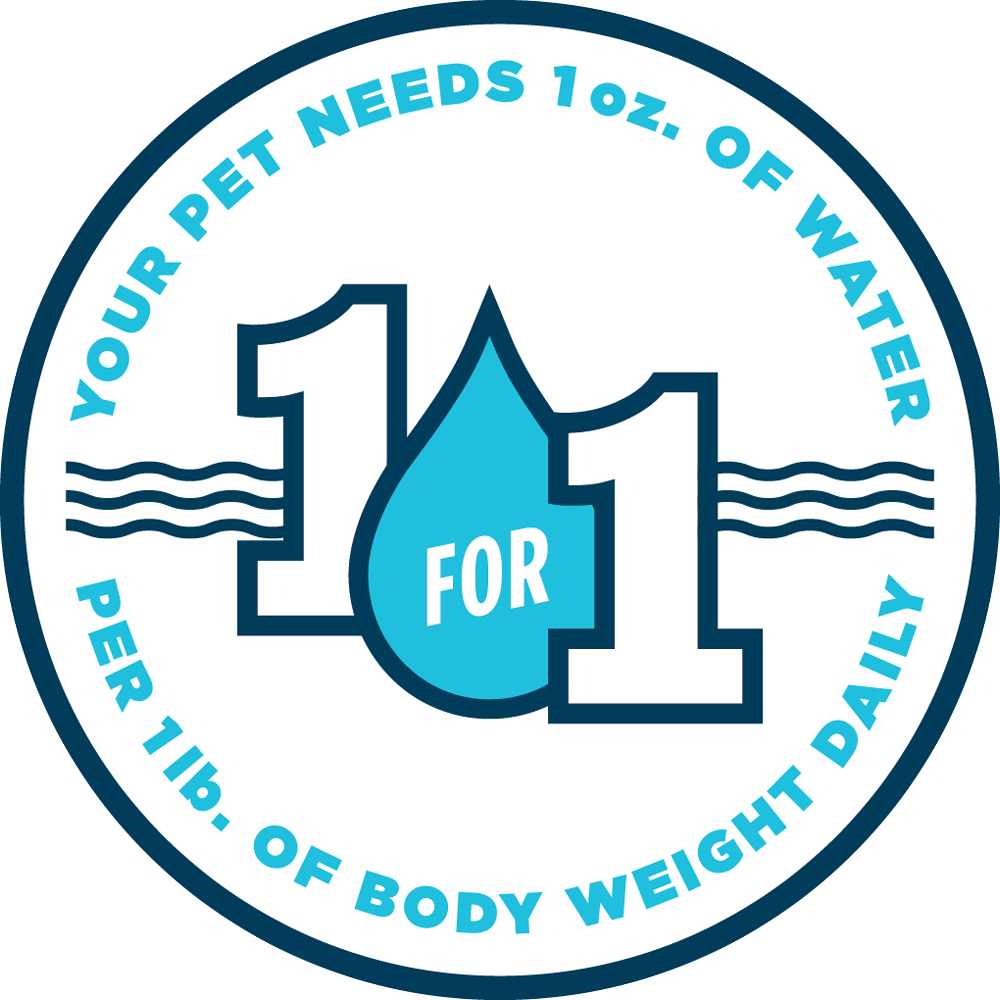 Your Pet Needs Water