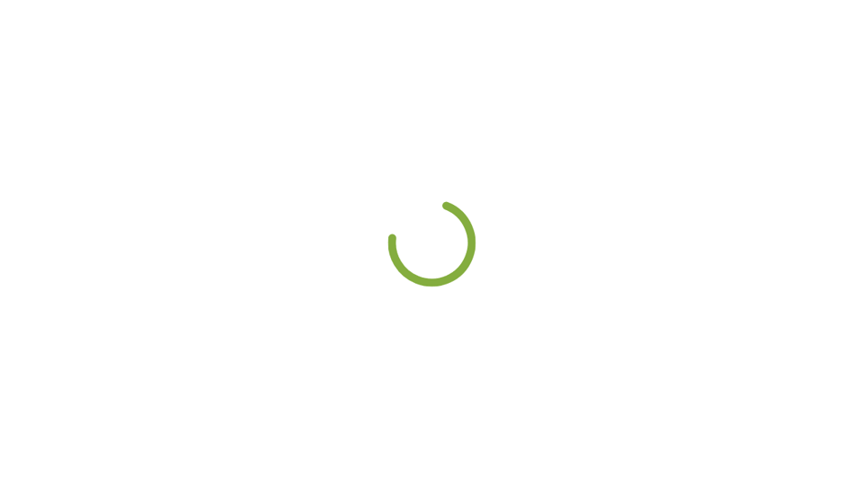 Download Pure SVG/SMIL material design spinner