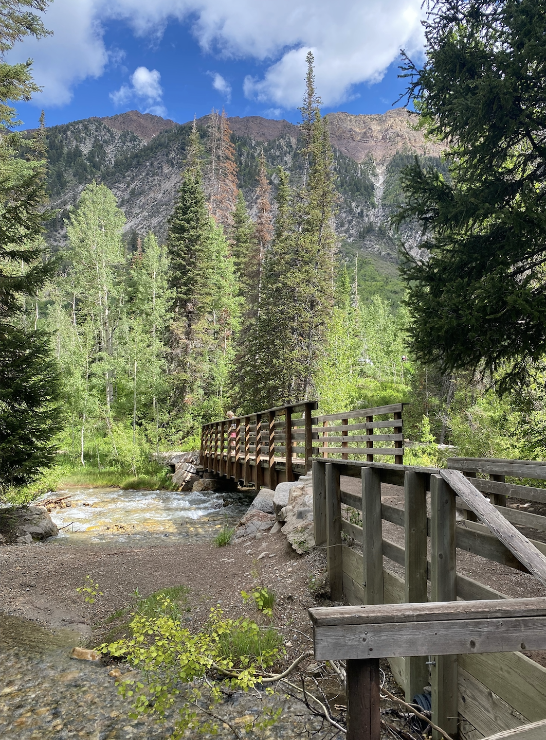 bridge over river with mountain view