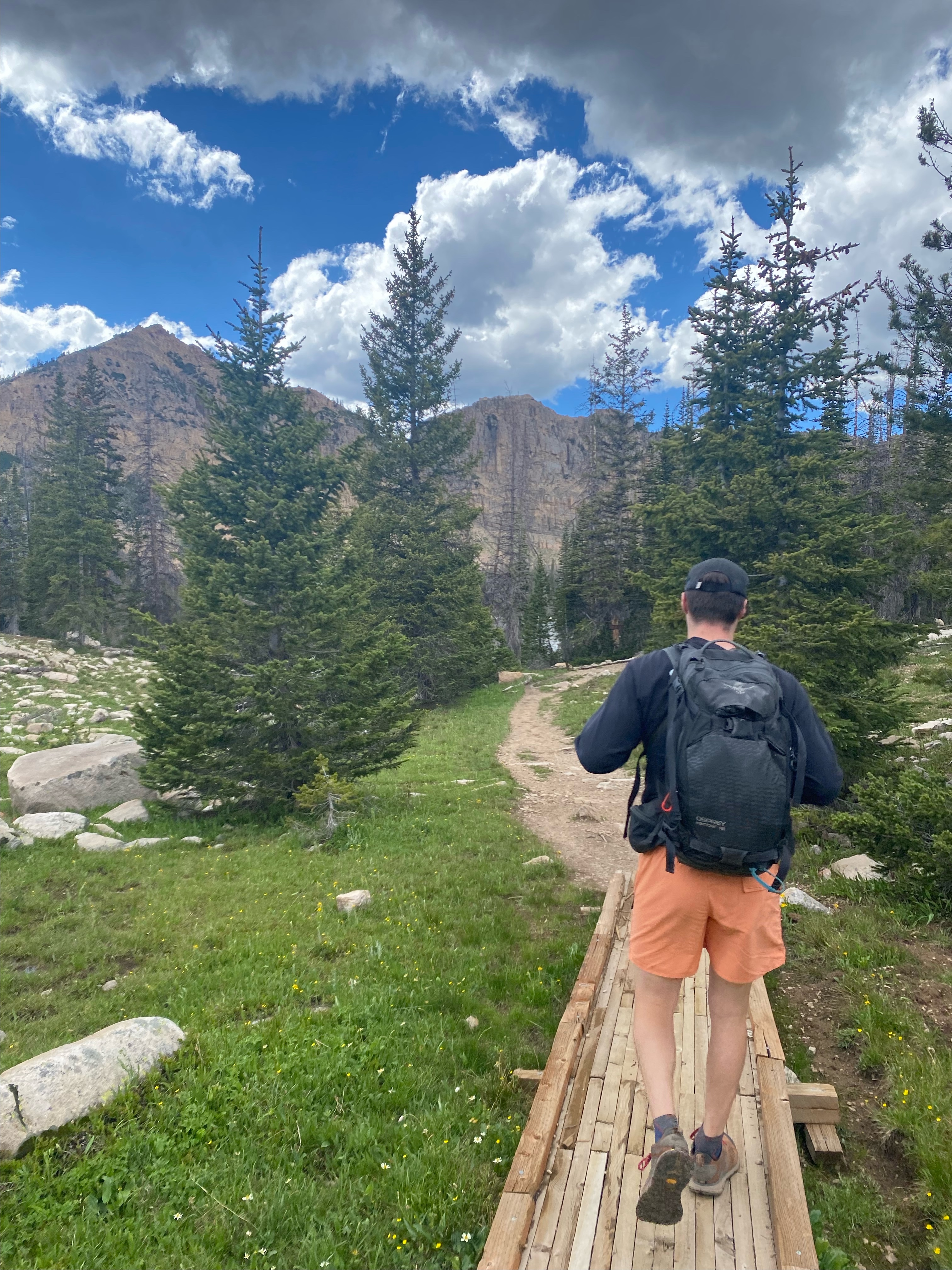 man walking on bridge through meadow