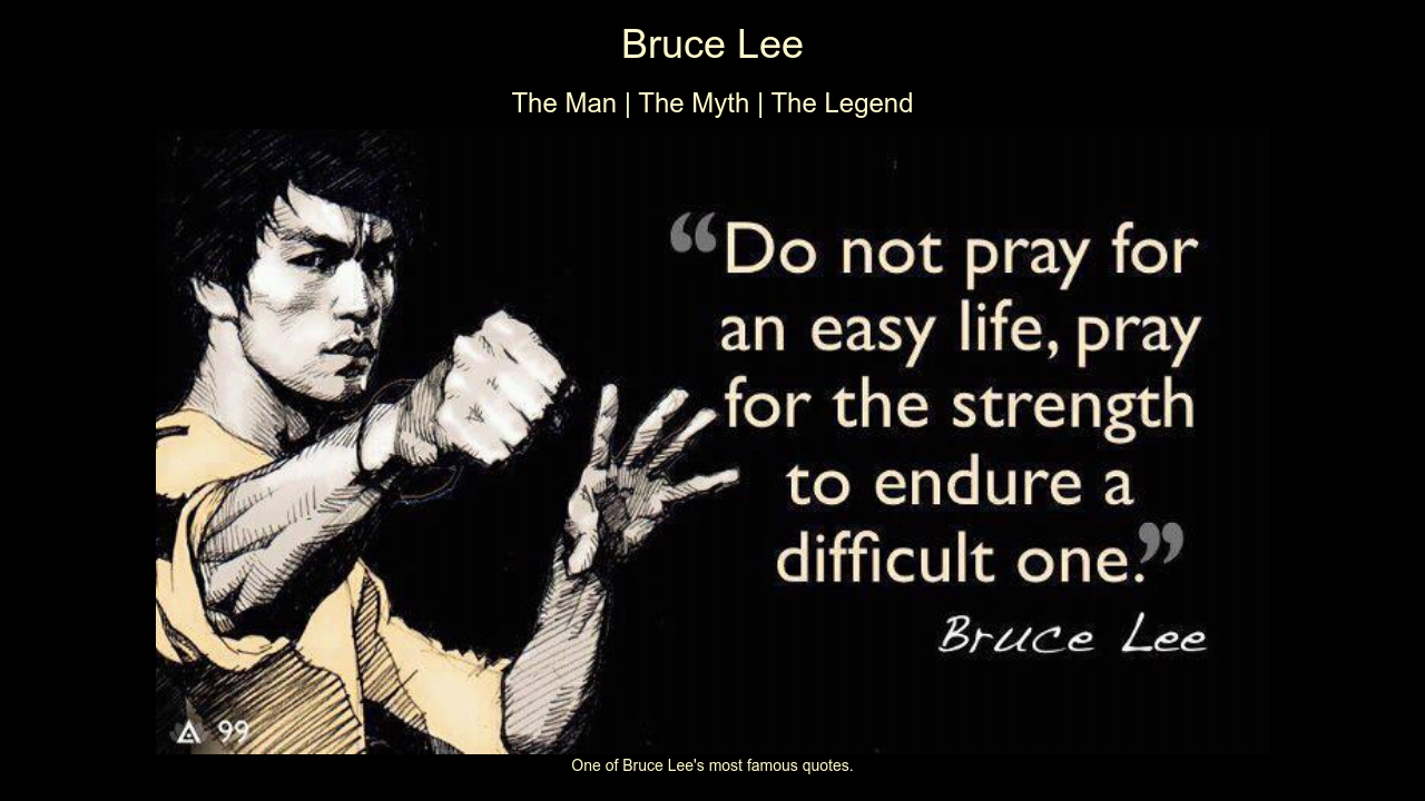 bruce lee the man the myth the legend