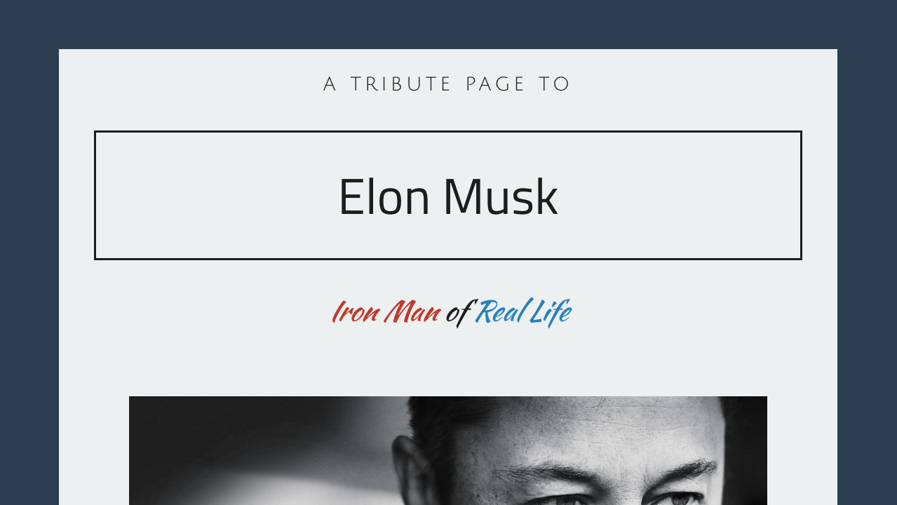 Tribute To Elon Musk