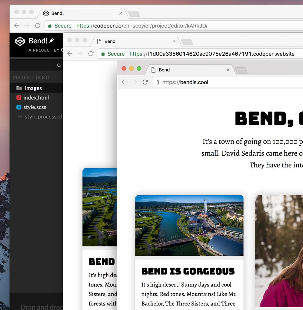 Project Editor – CodePen