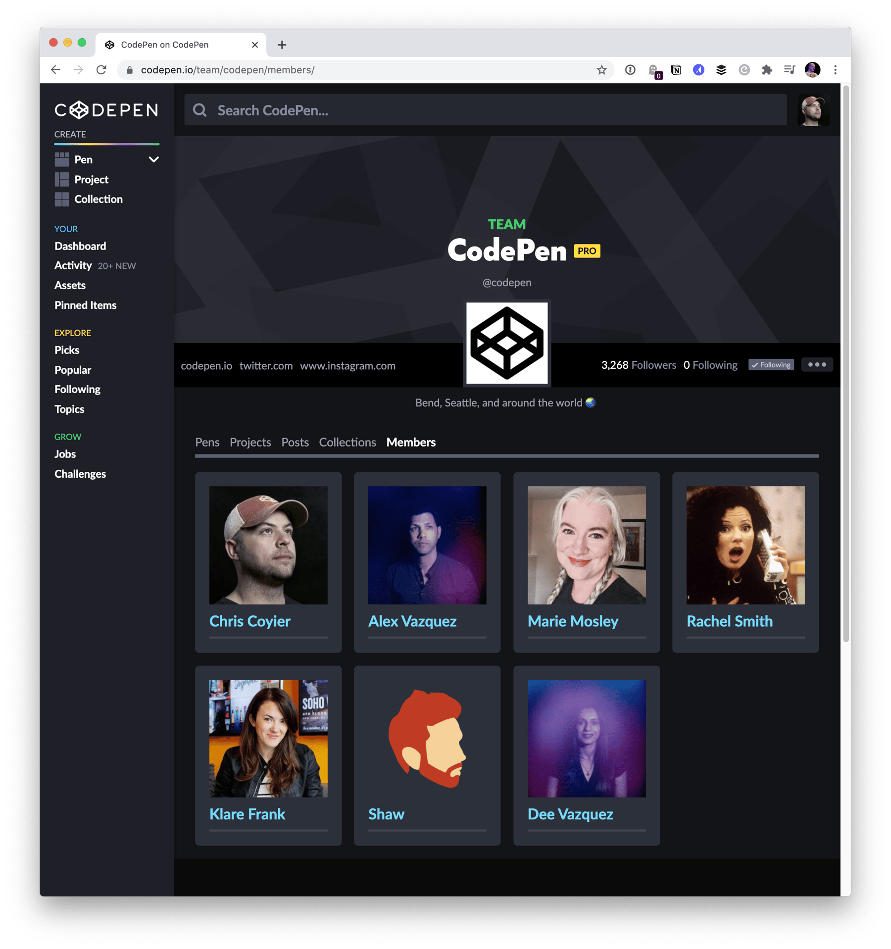Screenshot of team roster on profile of Team CodePen